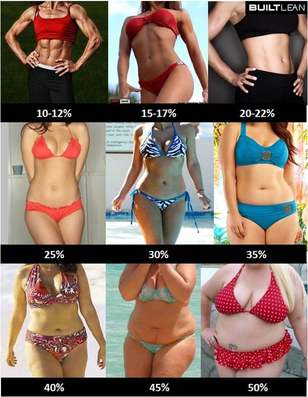 Female Body Composition Examples 